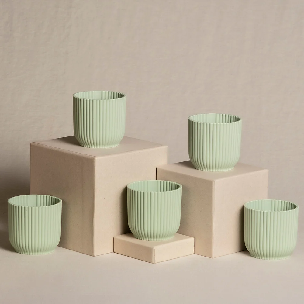 Babypflanzen-5er-Topfset - Image 5