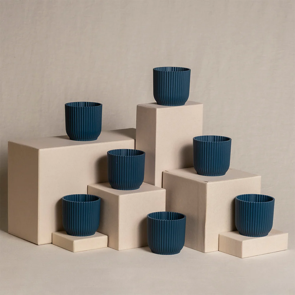 Babypflanzen-7er-Topfset - Image 6