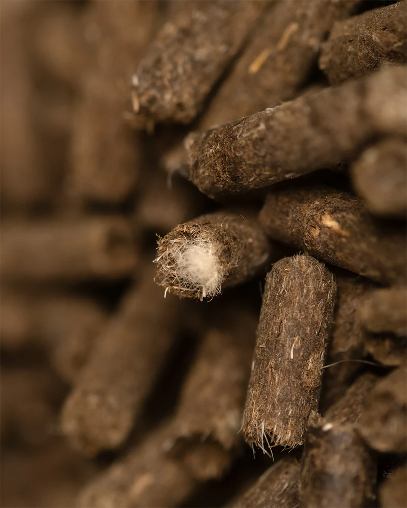 Biodünger Pellets - Image 8