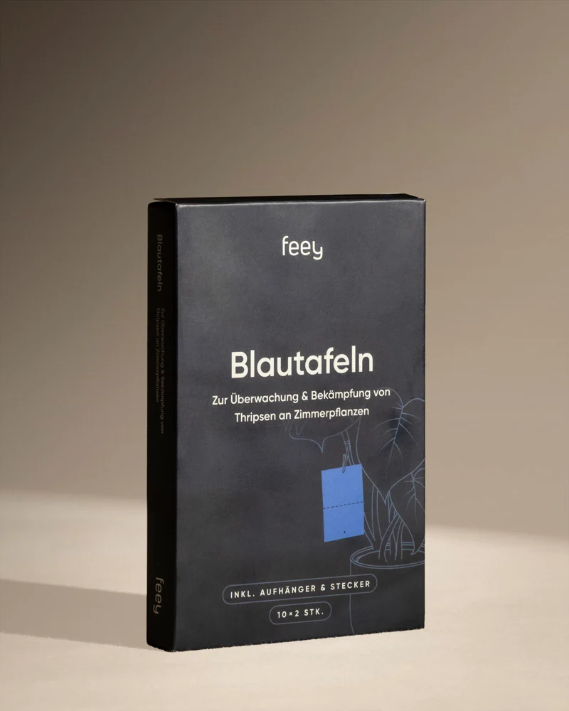 Blautafeln gegen Thripse - Image 3