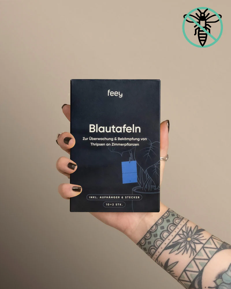 Blautafeln gegen Thripse - Image 4