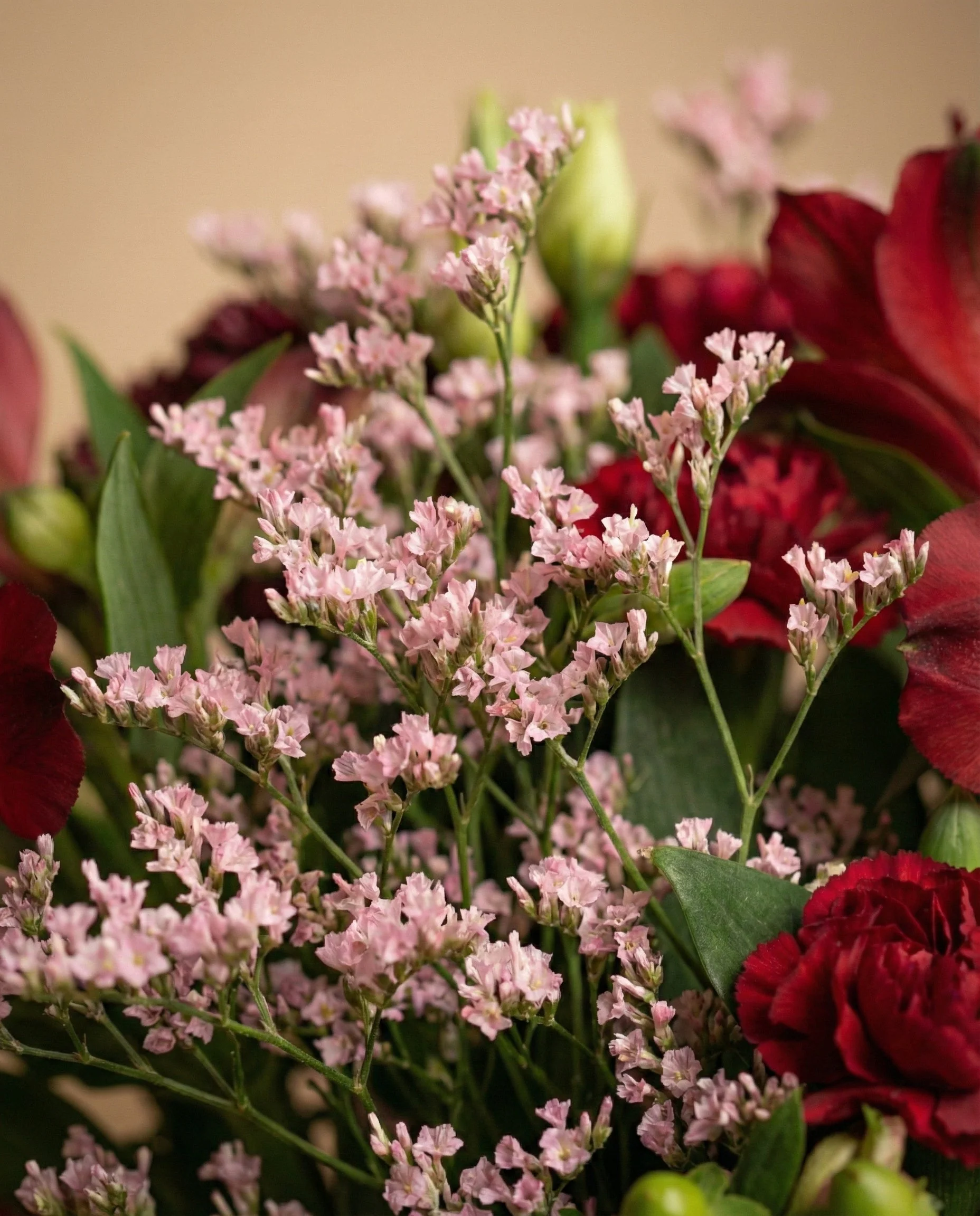 Amore - Image 9