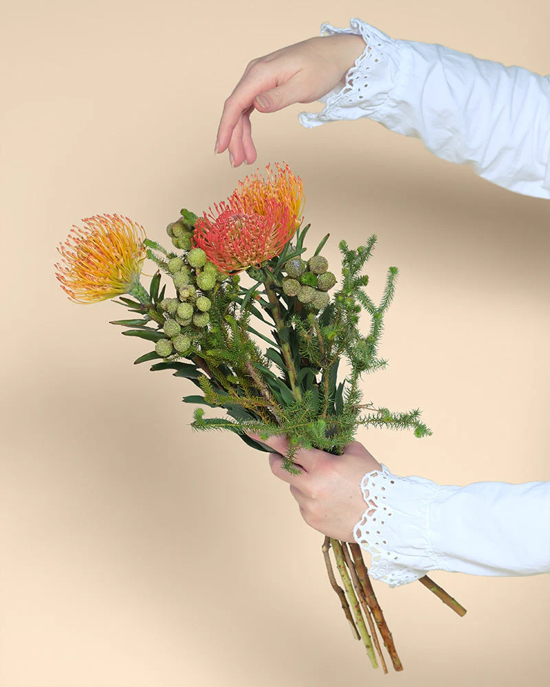 Couture - Image 4