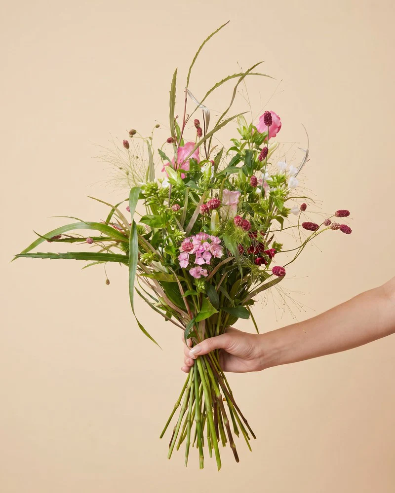 Feenzauber - Image 3