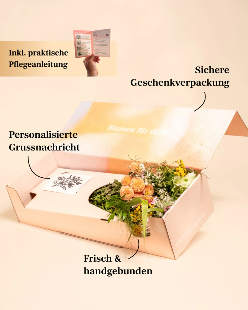 So kunterbunt wie du - Image 13