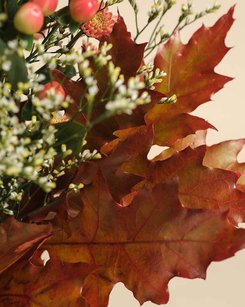 Herbstfreude - Image 12