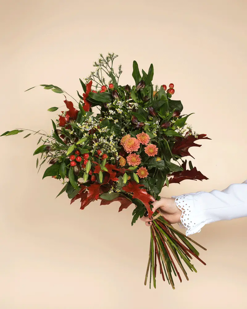 Herbstfreude - Image 4