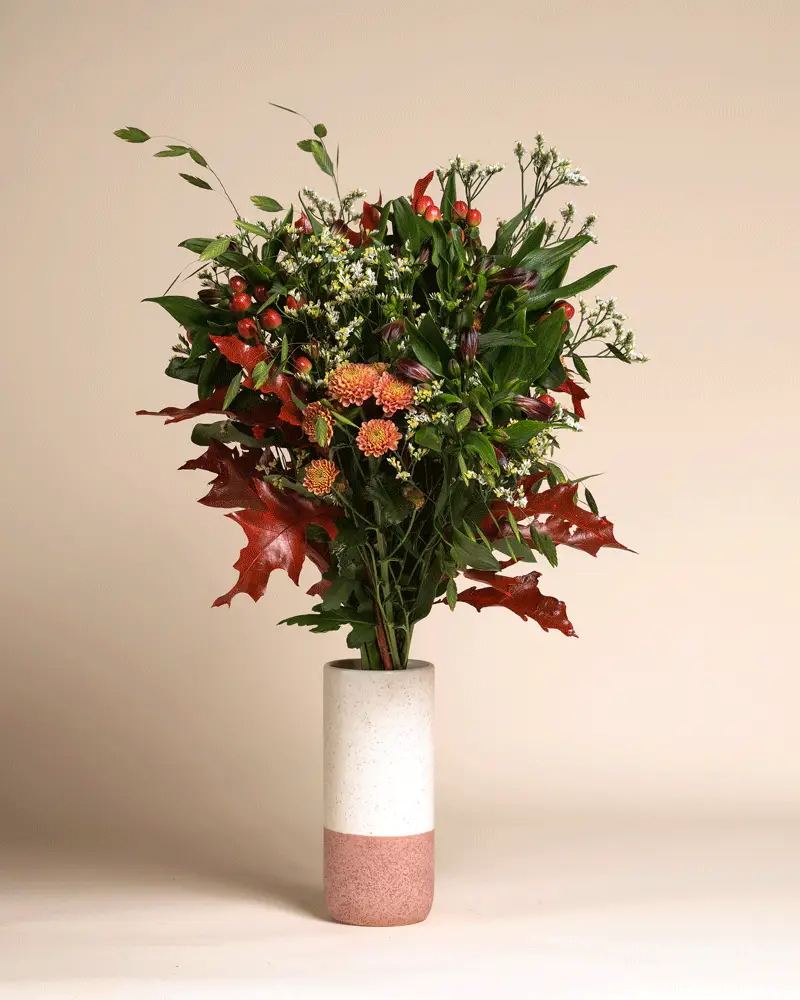 Herbstfreude - Image 5