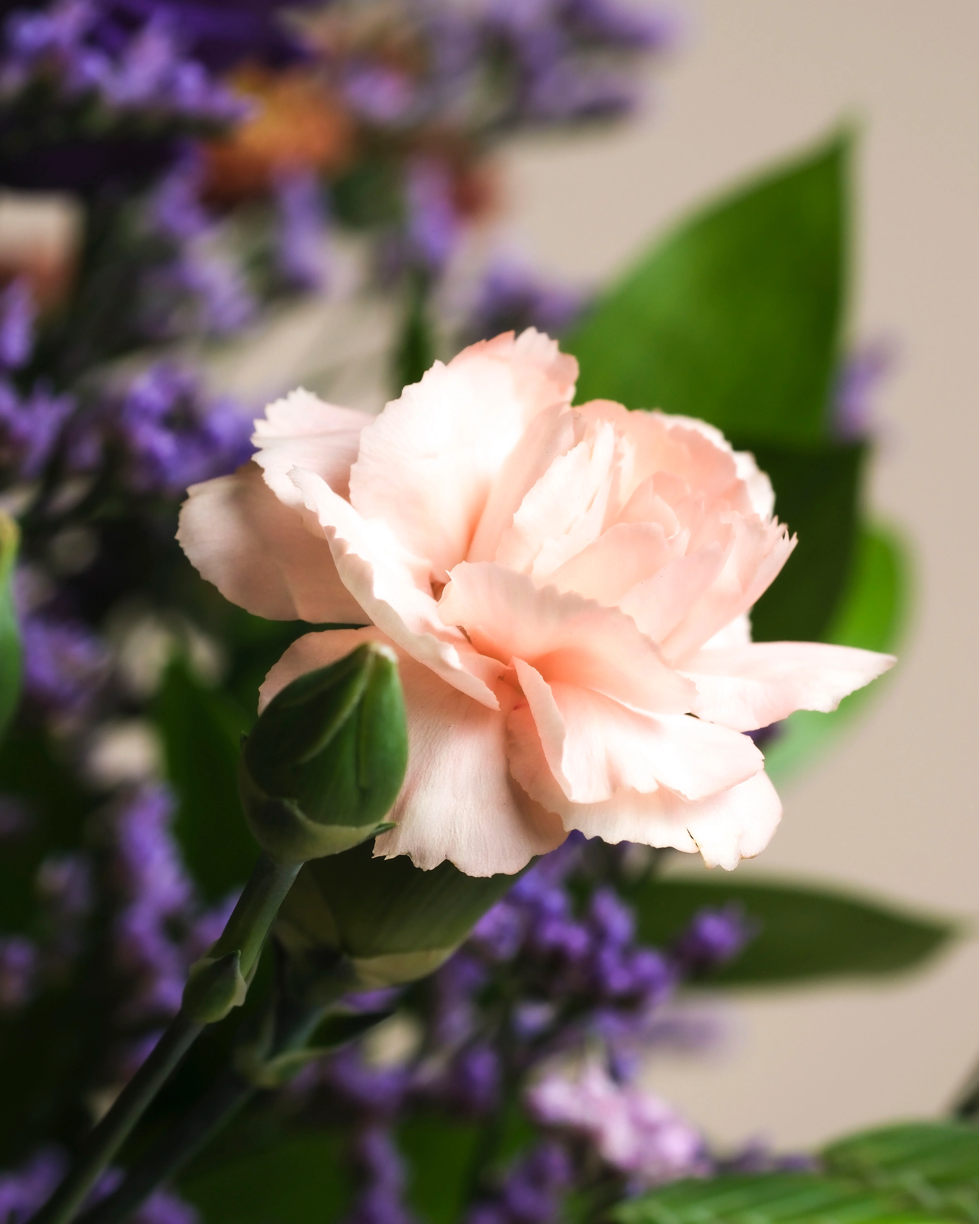 So kunterbunt wie du - Image 6