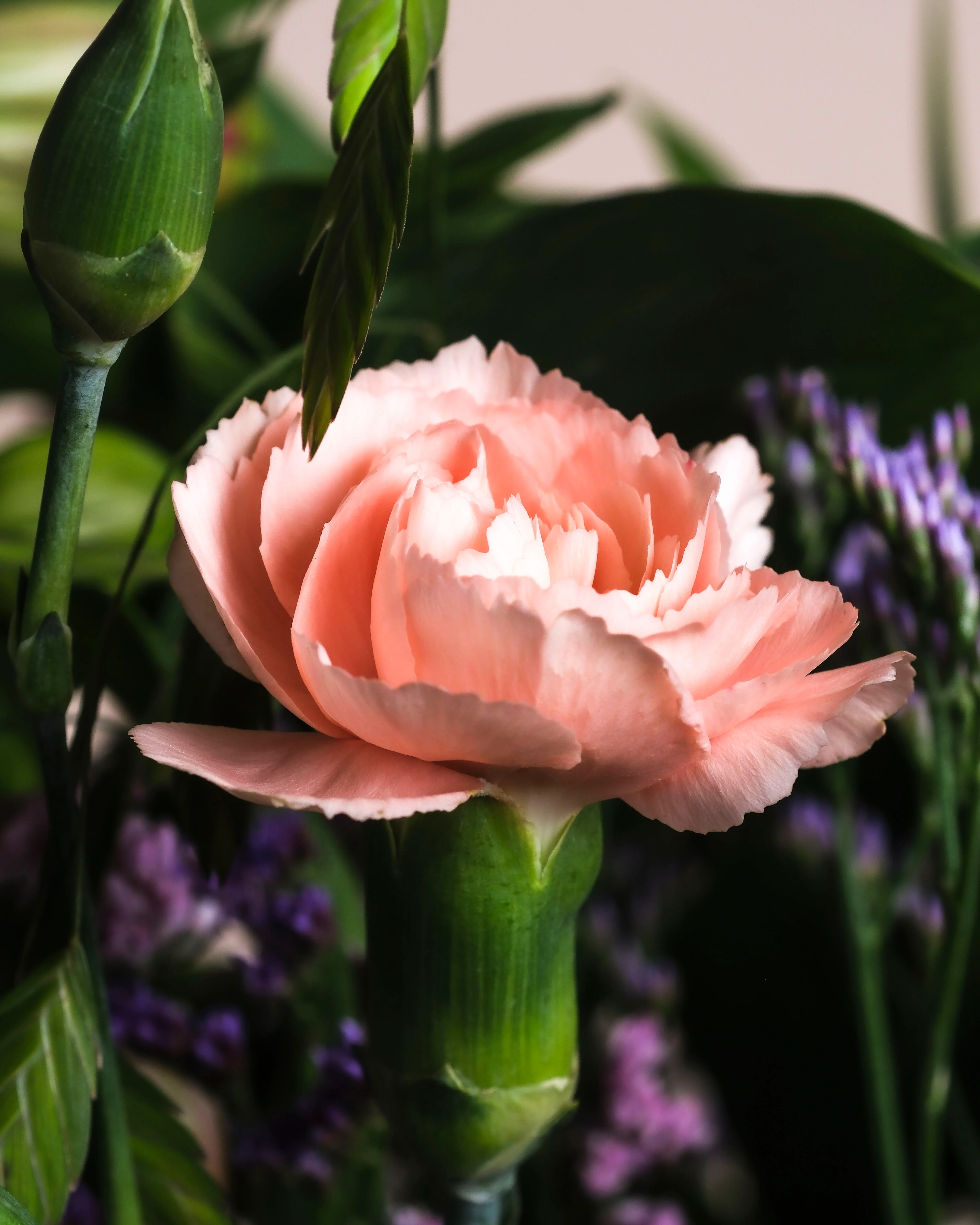 So kunterbunt wie du - Image 8
