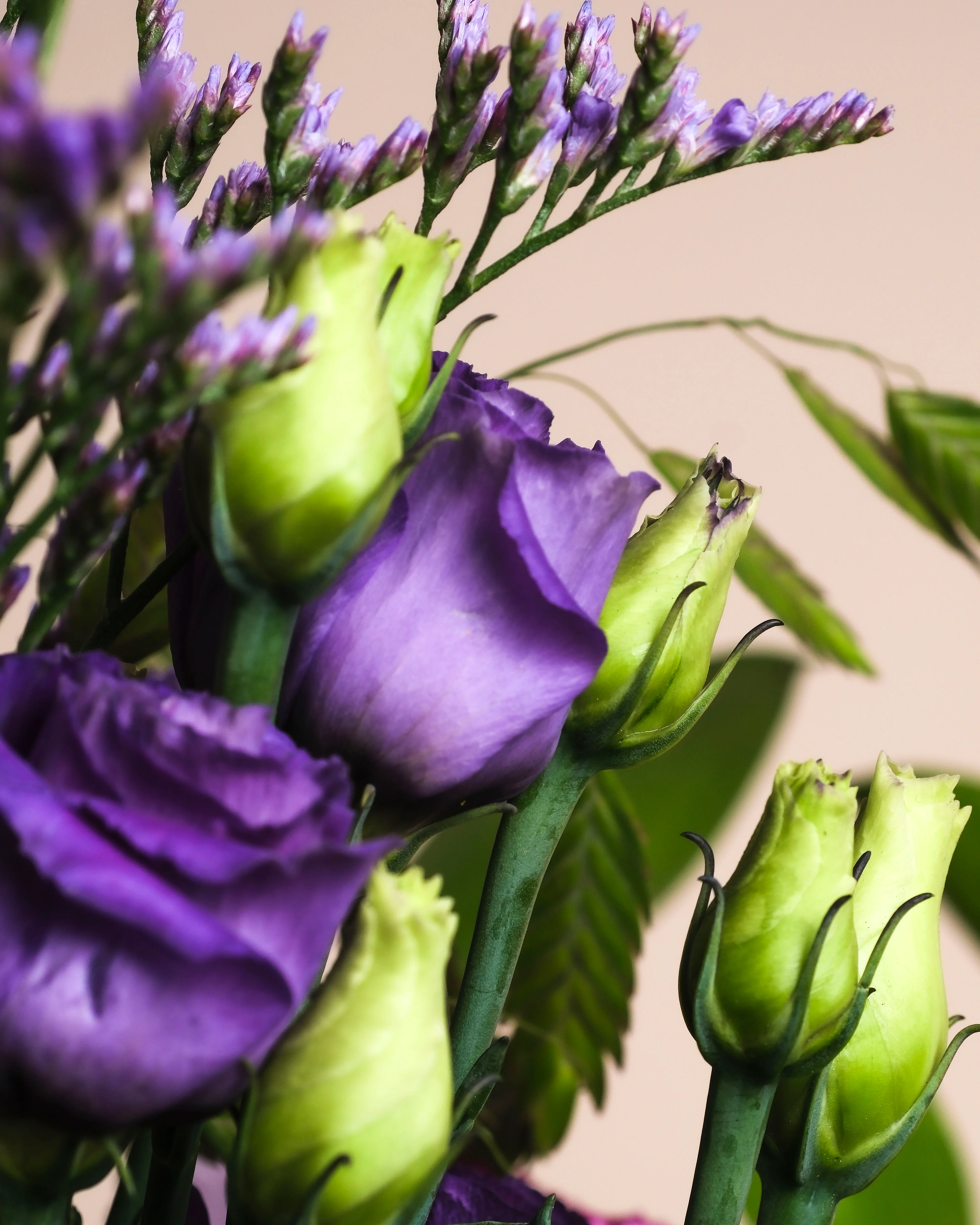 So kunterbunt wie du - Image 9
