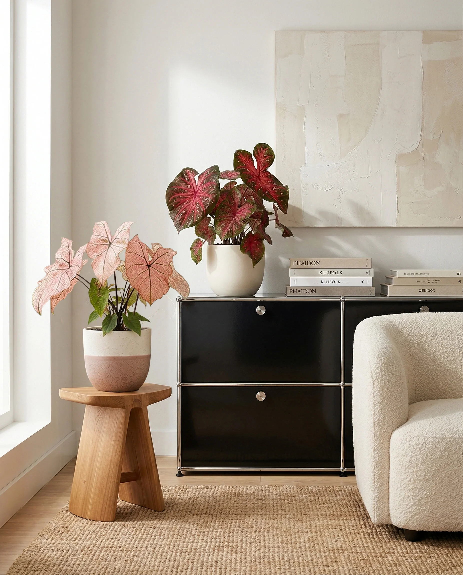 Caladium Duo - Image 10