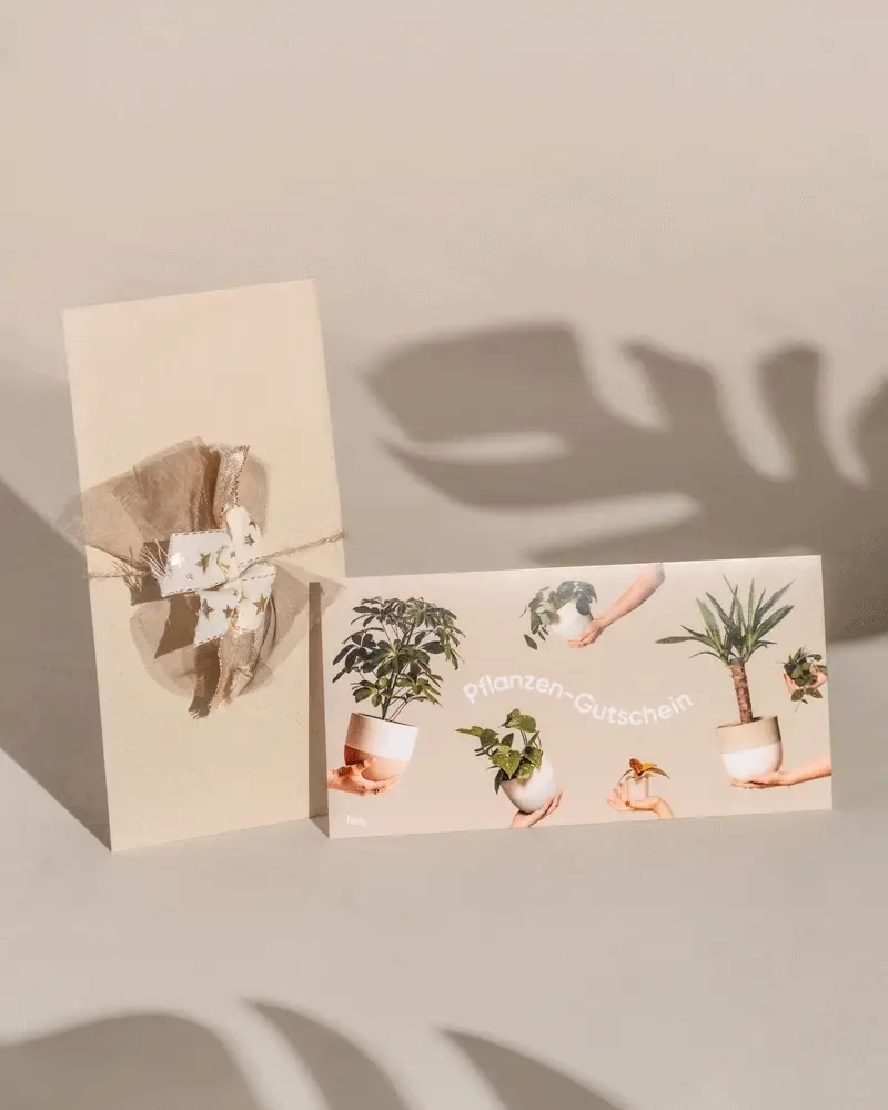 Gutschein - Image 3
