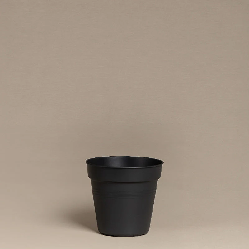 Innentopf (10.5 cm ⌀) - Image 3