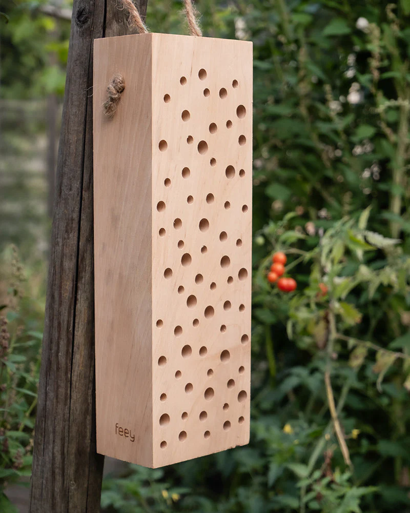 Insektenhotel 'Erbienbi' - Image 8