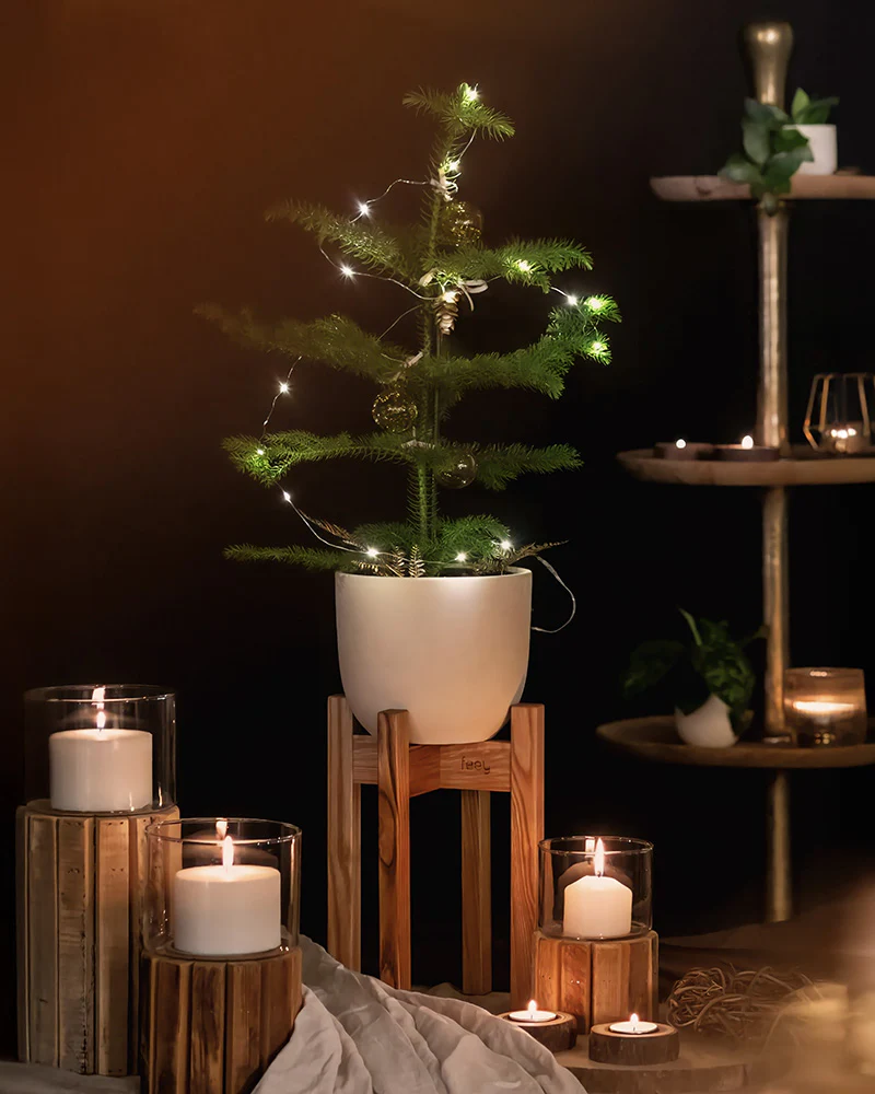 Lichterkette - Image 4
