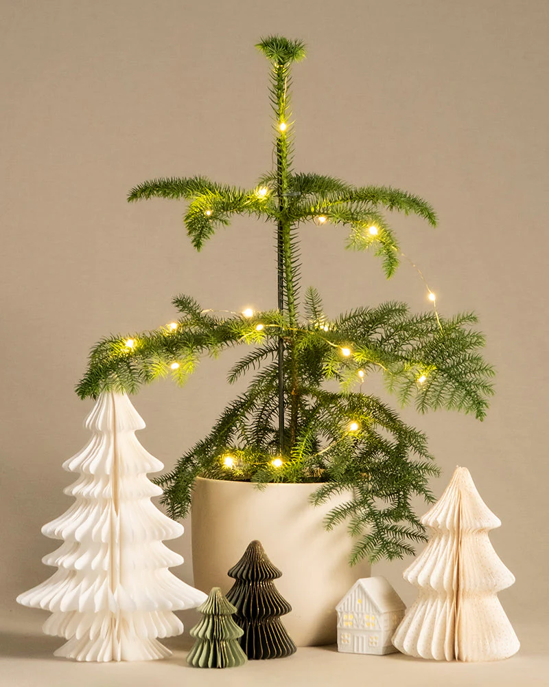 Lichterkette - Image 5