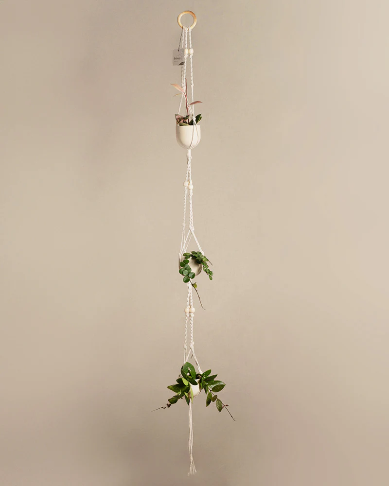 Makramee-Hänger 'Bubbly' (3er) - Image 3