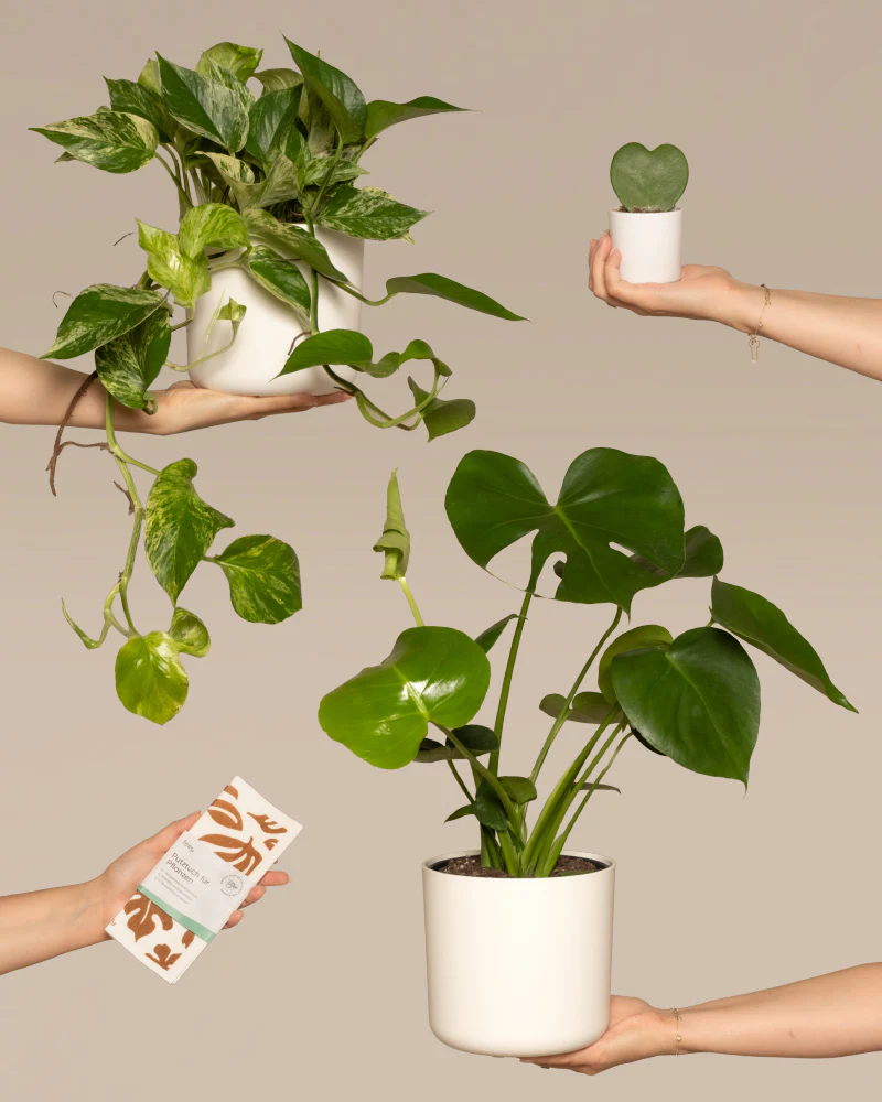 Me-Time Bundle
