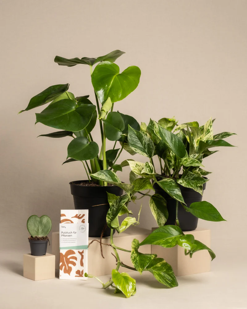Me-Time Bundle - Image 3
