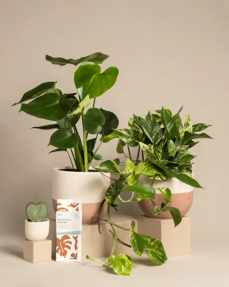 Me-Time Bundle - Image 5