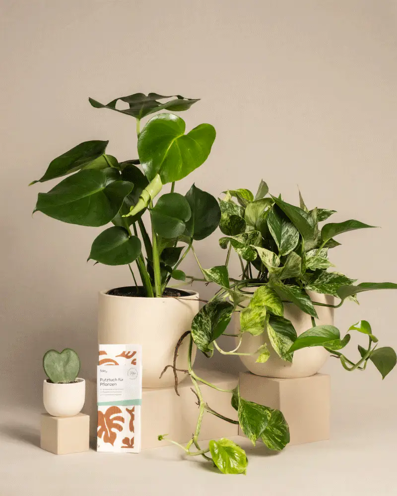 Me-Time Bundle - Image 6