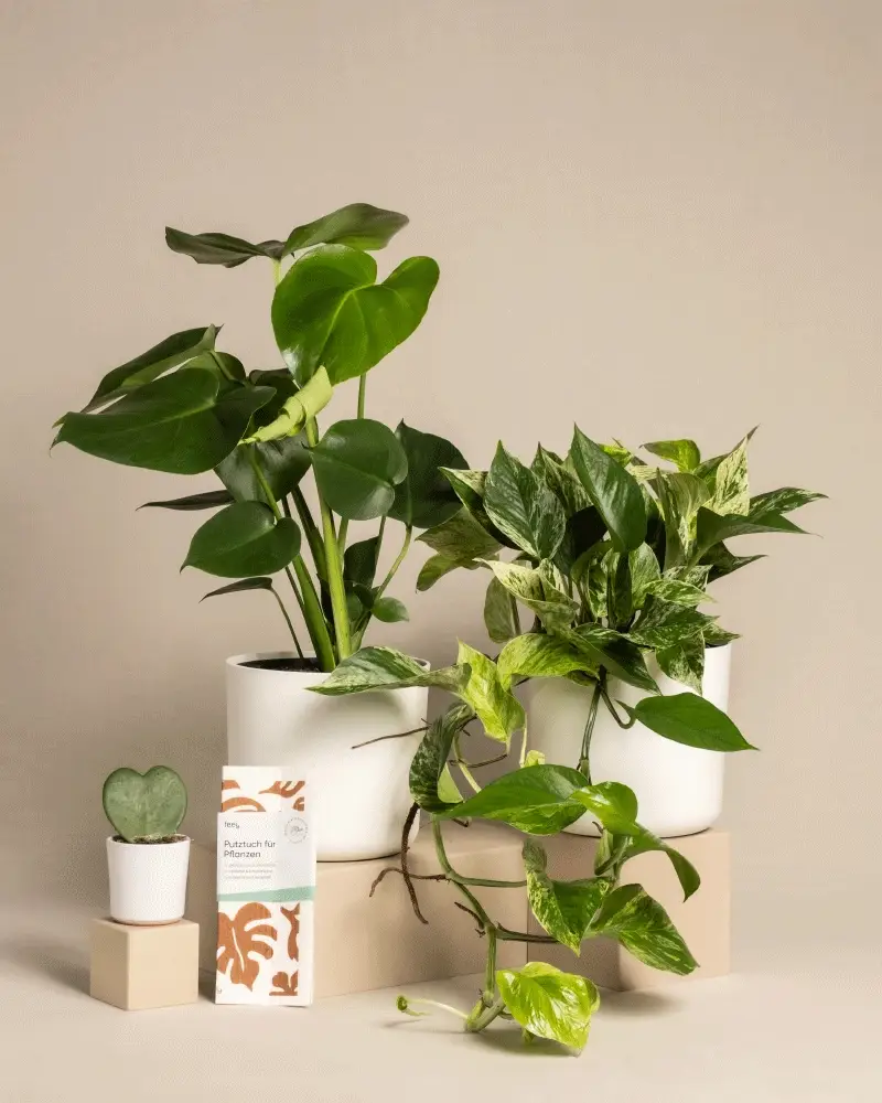 Me-Time Bundle - Image 7