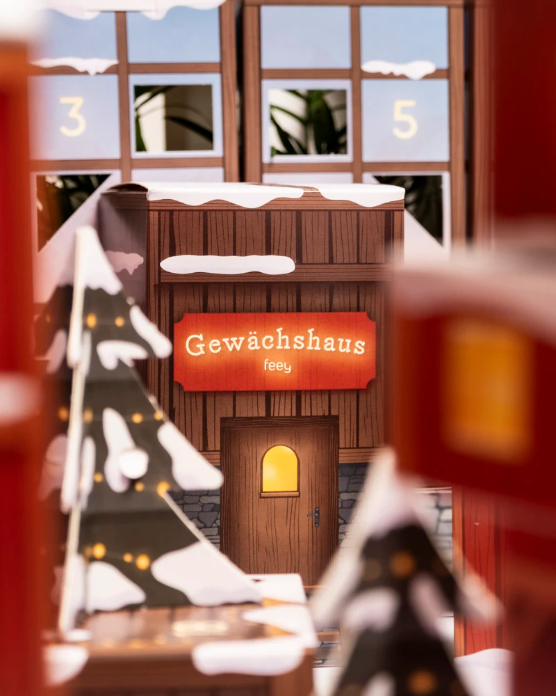 Pflanzen Adventskalender (Dschungel-Version) - Image 6