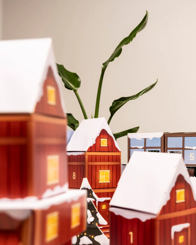 Pflanzen Adventskalender (Dschungel-Version) - Image 8