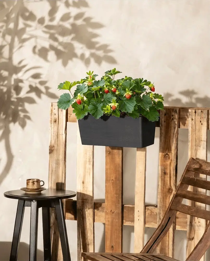Pflanzkasten für Geländer (Bruges | 48 cm) - Image 3