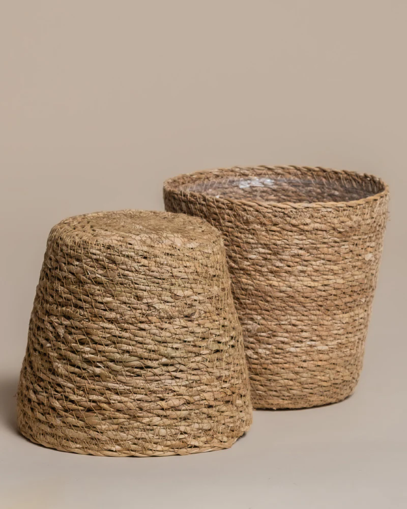 Pflanzkorb-Set aus Seegras (Kesat | 2× 16) - Image 6