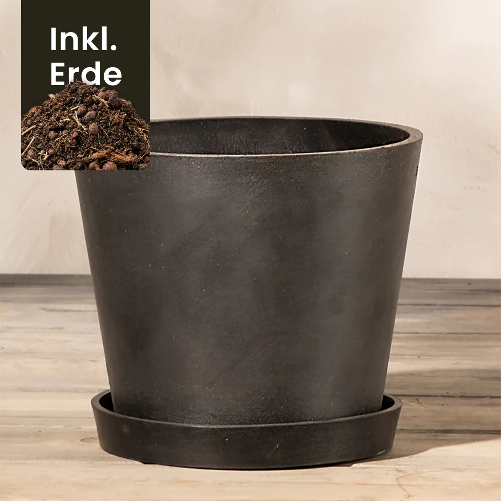 Kunststoff Pflanzkübel (Amsterdam | 20 cm ⌀) - Image 6