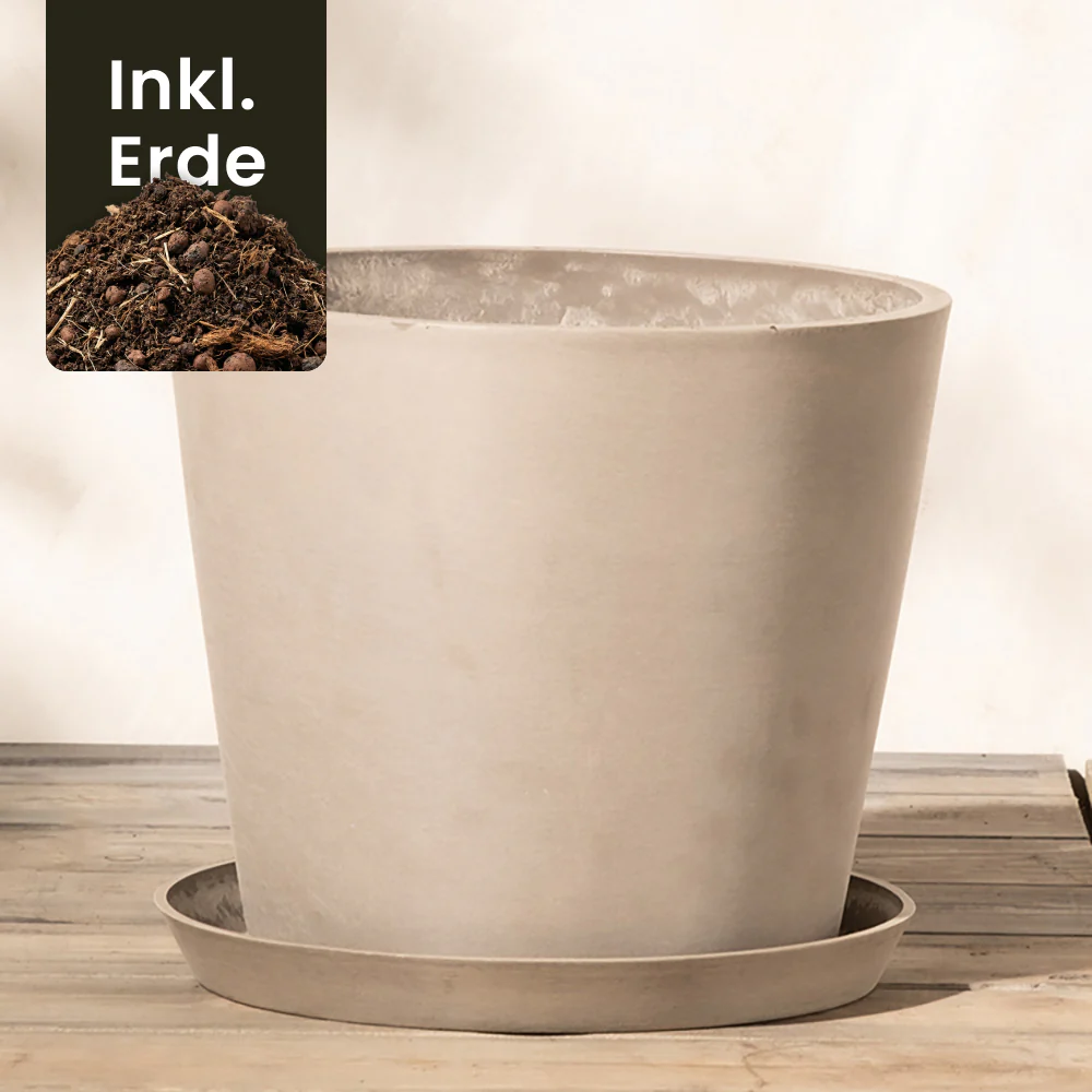Kunststoff Pflanzkübel (Amsterdam | 30 cm ⌀) - Image 17