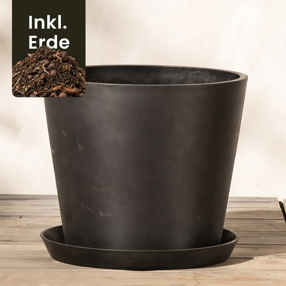 Kunststoff Pflanzkübel (Amsterdam | 30 cm ⌀) - Image 19