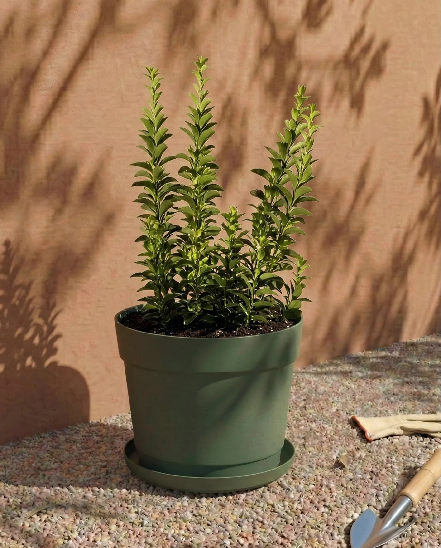 Kunststoff Pflanzkübel (Bloom | 19 cm Ø) - Image 4