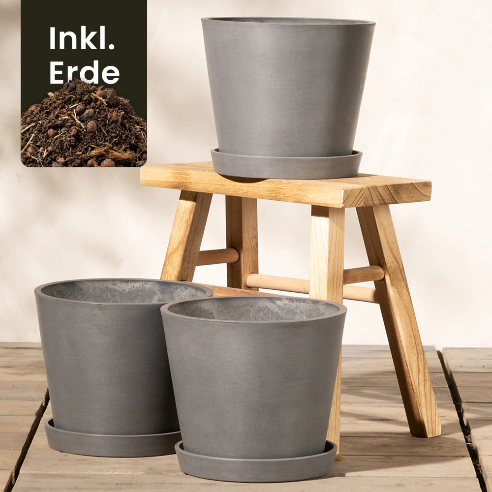 Pflanzkübel-Set Amsterdam (3x 20) - Image 11