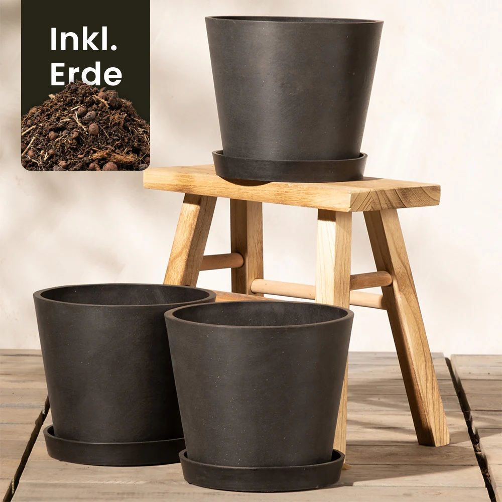 Pflanzkübel-Set Amsterdam (3x 20) - Image 12