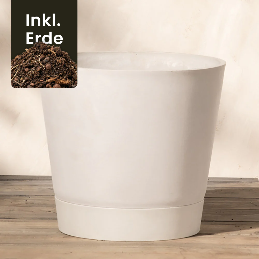 Kunststoff Pflanzkübel (Venice | 30 cm ⌀) - Image 19