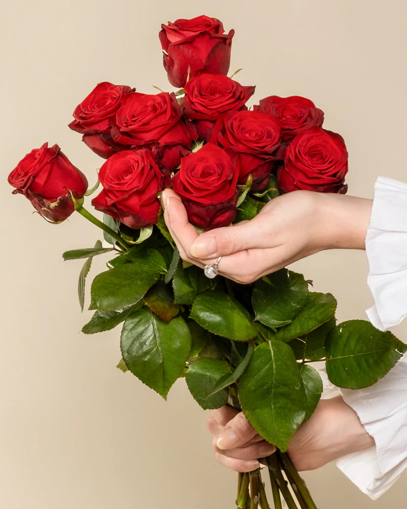 Rote Rosen