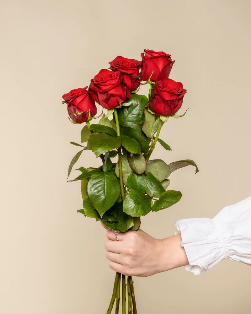 Rote Rosen - Image 11