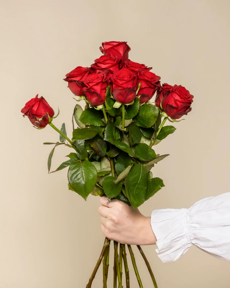 Rote Rosen - Image 12