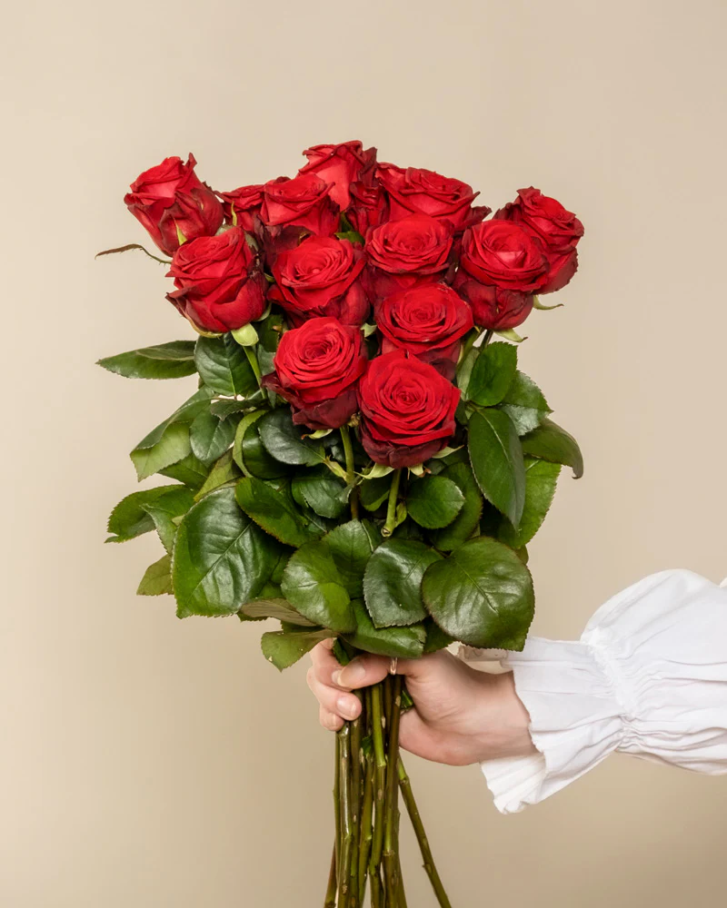 Rote Rosen - Image 13