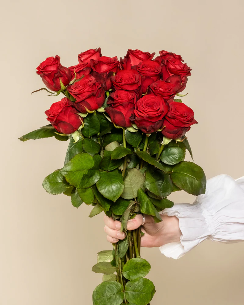 Rote Rosen - Image 14