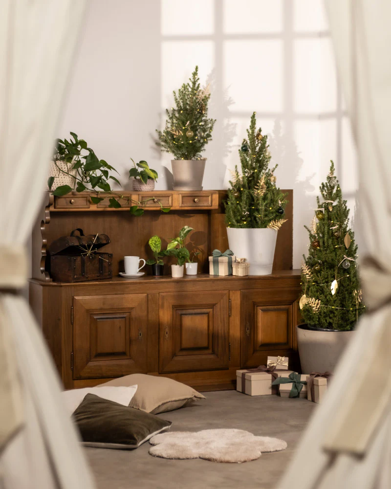 Tannenbaum - Image 9