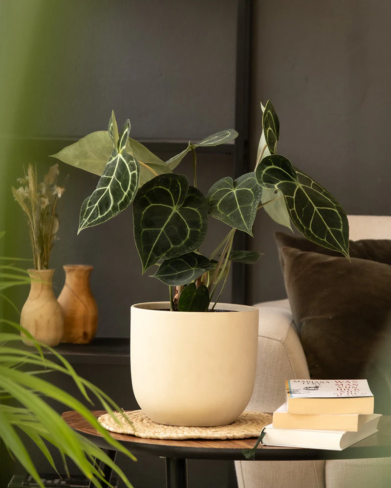Keramik Topfset 'Direito' (22, 18, 16, 14, 3 × 7) - Image 13