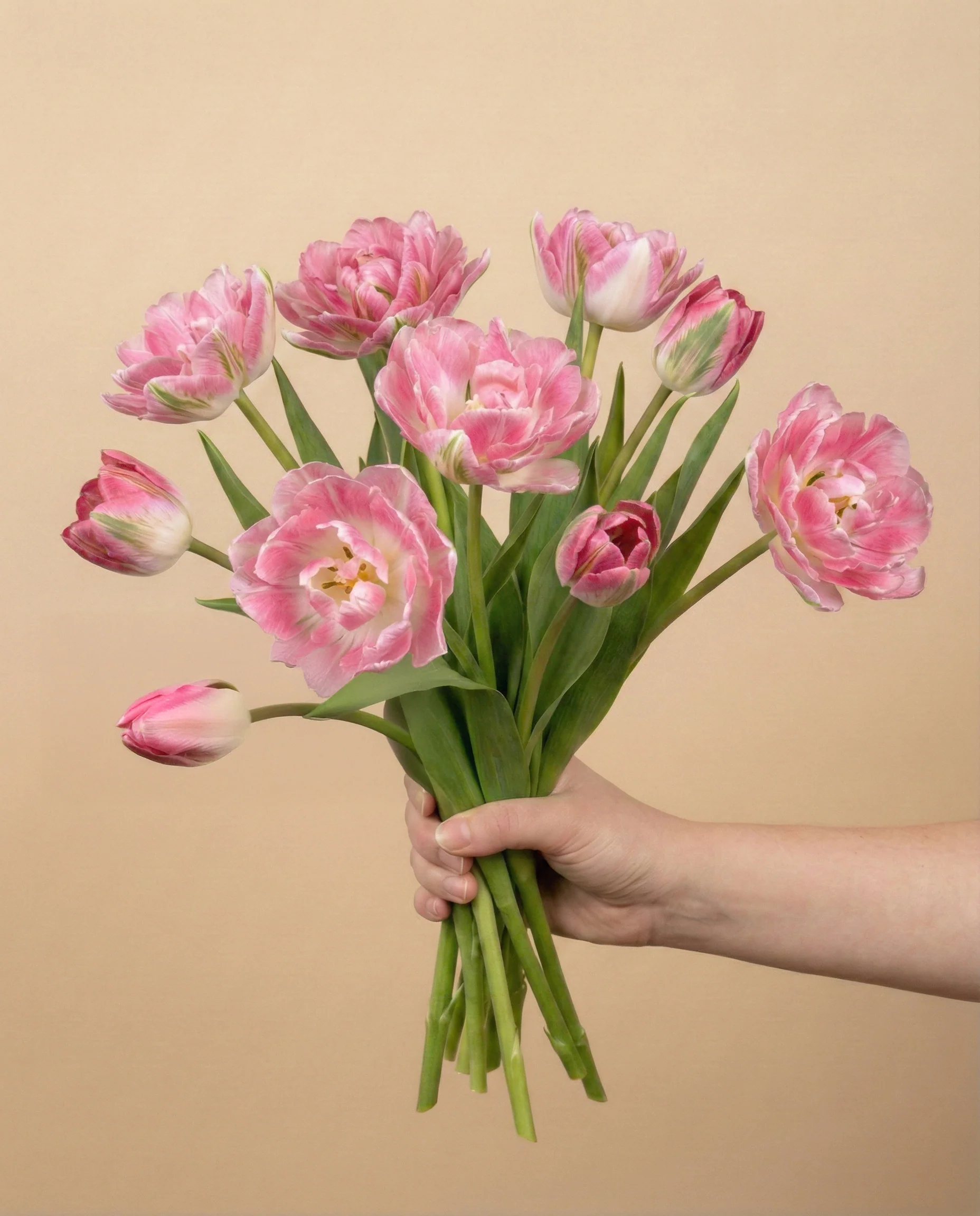 Tulpen «Liebesgedicht» - Image 3