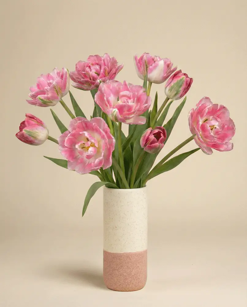 Tulpen «Liebesgedicht» - Image 4