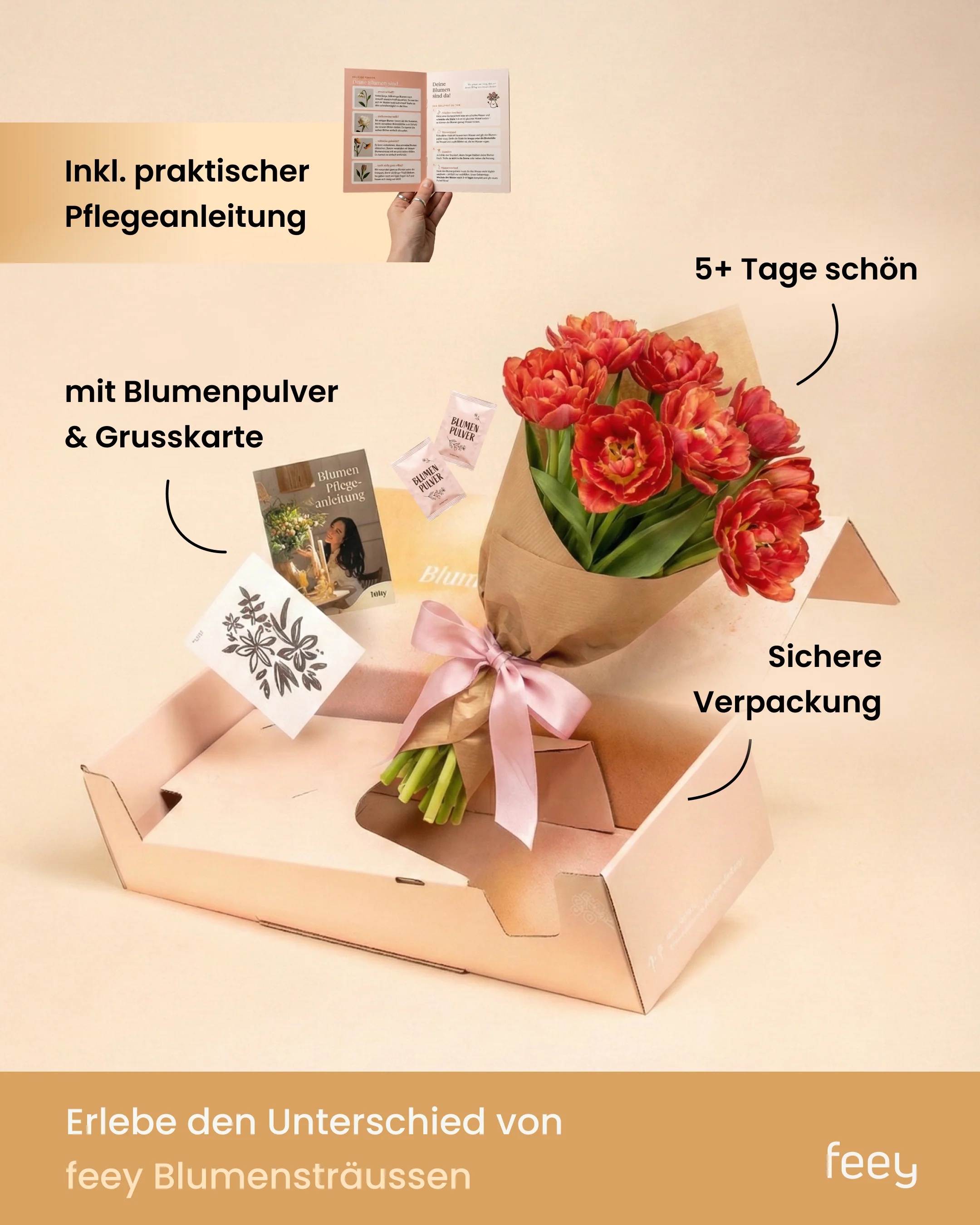 Tulpen «Herzklopfen» - Image 8