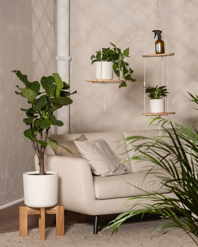 Urban Jungle Set - Image 2