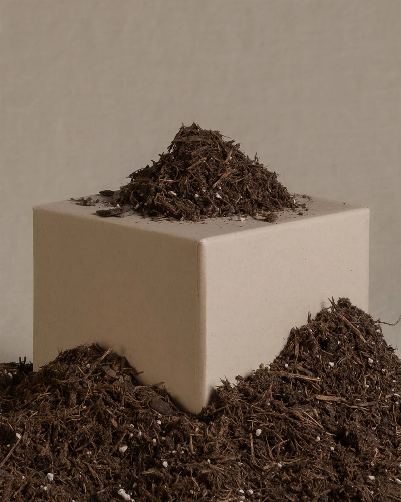 Erde für Zimmerpflanzen - Image 7